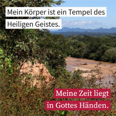 Der Körper