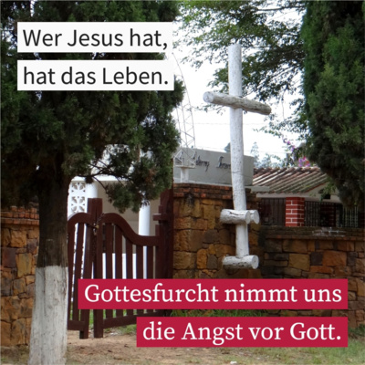 Der Weg zum Leben