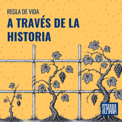 330 - Regla de vida: "Usos y Abusos"
