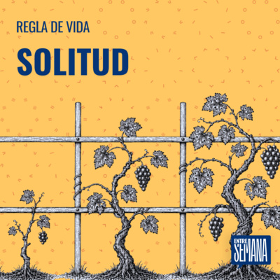 334 - Regla de vida: "Solitud"