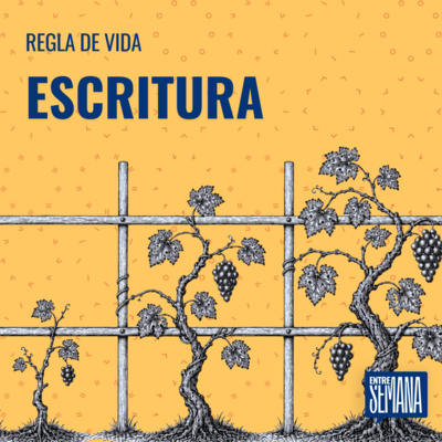 336 - Regla de vida: "Escritura"