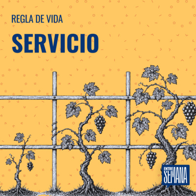 338 - Regla de vida: "Servicio"