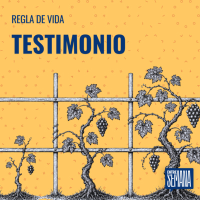 339 - Regla de vida: "Testimonio"