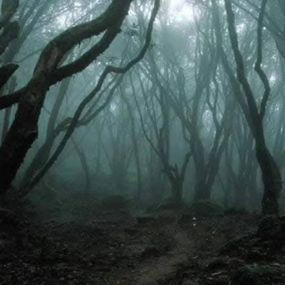 Hoia Baciu, Romania