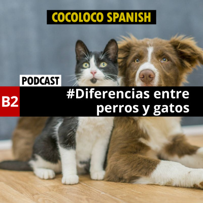 CocoLoco Spanish - Español coloquial de España