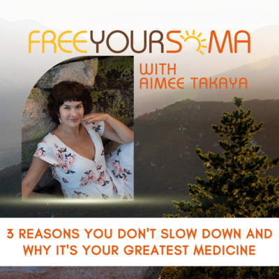 3 Reasons You DON'T Slow Down and Why it's Your Greatest Medicine