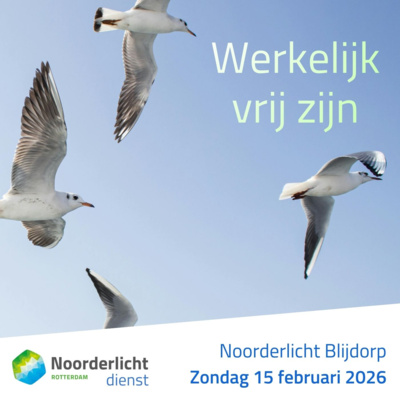 228. Werkelijk vrij zijn (Johannes 8:30-36)