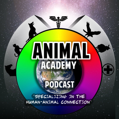 Animal Academy – My 101 Snapshot