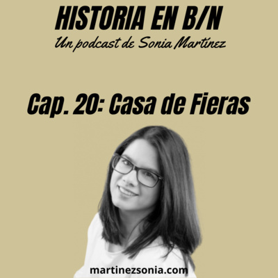 Currently playing episode