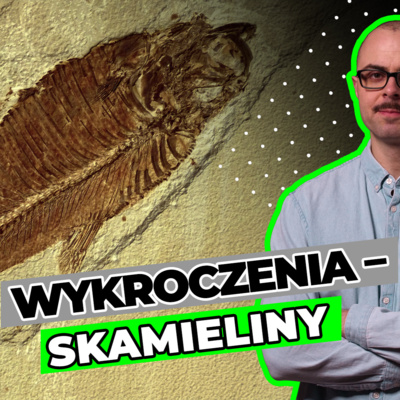 Wykroczenia - skamieliny – Mateusz Wiktorek