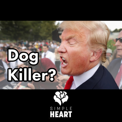 How To Stop Trump From Killing Dogs (Ep. 47)