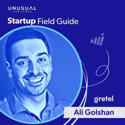 How Gretel found product-market fit: Ali Golshan on unlocking synthetic data for developers