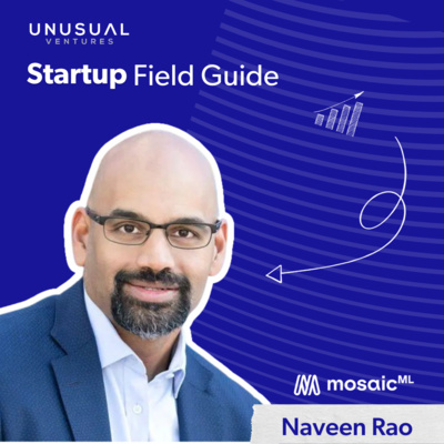MosaicML’s Naveen Rao on building an edge in AI infrastructure