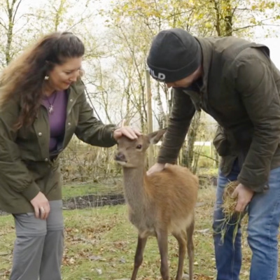 🐾🌿 Explore Wild Ireland with Founder Killian McLaughlin! 🌿🐾
