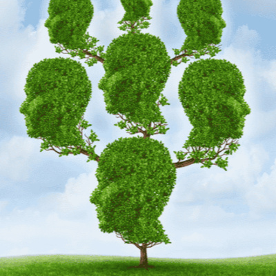 El árbol genealógico revela heridas y lealtades que moldean nuestra vida