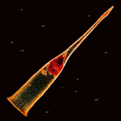 ALBUM REVIEW: Leprous - Melodies Of Atonement 