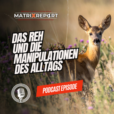 Das Reh und die Manipulationen des Alltags