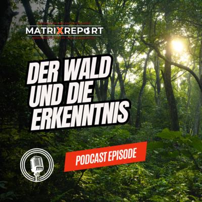 Der Wald und die Erkenntnis