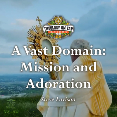 A Vast Domain: Mission and Adoration by Steve Lovison
