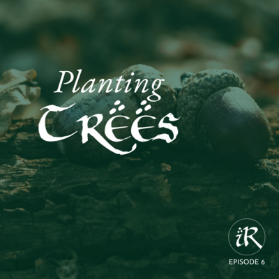 Planting Trees