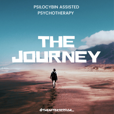 Episode 19: The Journey