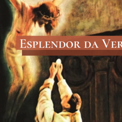 Currently playing episode