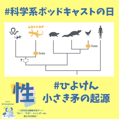 #88 性器の起源?0本?1本?それとも2本?#科学系ポッドキャストの日
