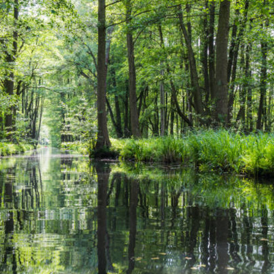 T1 E8 La desaparición de la empresaria de Huesca