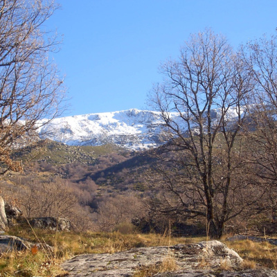 T1 E11 El crimen de Cantagallo