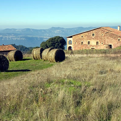 T1 E15 El crimen de los Holandeses