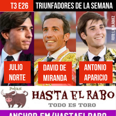 T3 E26 DAVID DE MIRANDA HUELVA. ✓ JULIO NORTE CASTILLA Y LEÓN ✓ ANTONIO APARICIO, Espiga de Plata Calasparra ✓ EL GRAN BORIS ✓ TODO HUELVA, EL PUERTO, AZPEITIA #PODCAST HASTA EL RABO TODO ES TORO