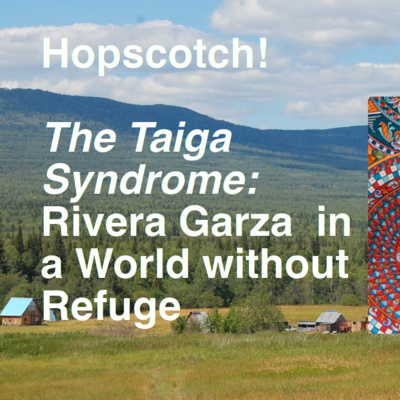 The Taiga Syndrome: Cristina Rivera Garza in a World without Refuge