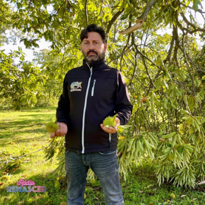 NOTÍCIA | Produtores de castanha arrasados após passagem da tempestade Kirk