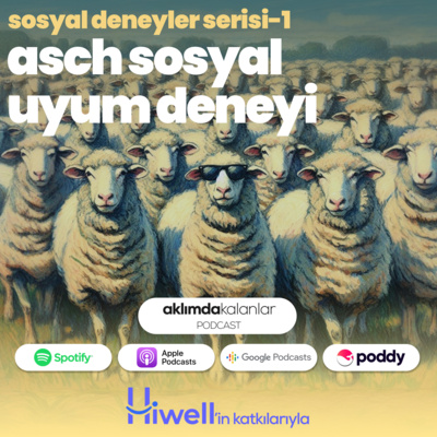17 | Sosyal Deneyler Serisi I - Asch Sosyal Uyum Deneyi