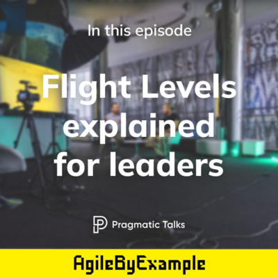 Flight Levels explained for leaders