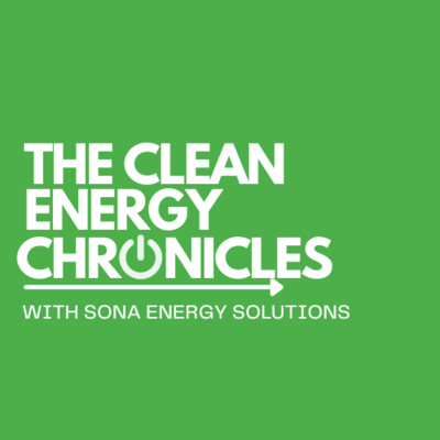 Setting and Achieving Net Zero Carbon Goals