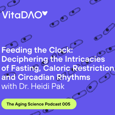 Feeding the Clock: Deciphering the Intricacies of Fasting, Caloric Restriction, and Circadian Rhythms with Dr. Heidi Pak on The Aging Science Podcast by VitaDAO