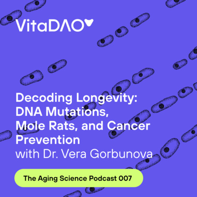 Decoding Longevity: DNA Mutations, Mole Rats, and Cancer Prevention with Prof. Vera Gorbunova on The Aging Science Podcast by VitaDAO