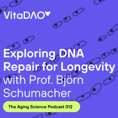 Exploring DNA Repair for Longevity with Prof. Björn Schumacher - The VitaDAO Aging Science Podcast