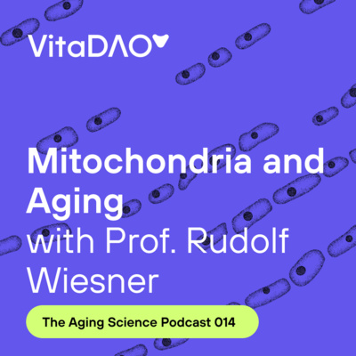 Mitochondria and Aging with Prof. Rudolf Wiesner - VitaDAO Aging Science Podcast 