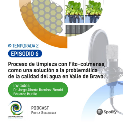  Limpieza del agua con Fito-colmenas, como una solución a la problemática de calidad del agua