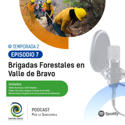 Brigadas Forestales en Valle de Bravo