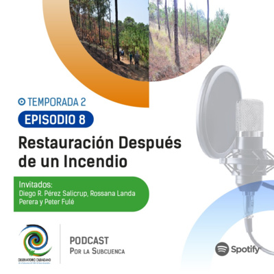 Restauración después de un Incendio