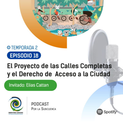 El Proyecto de las Calles completas y el Derecho de Acceso a la Ciudad 