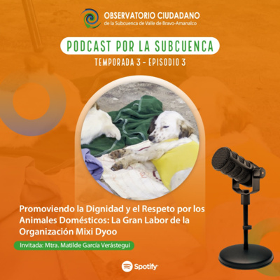 Promoviendo la Dignidad y el Respeto por los Animales Domésticos: la Gran Labor de la Organización Mixi Dyoo