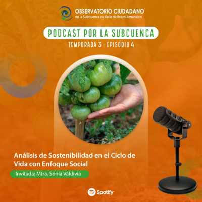 Análisis de Sostenibilidad en el Ciclo de Vida con Enfoque Social