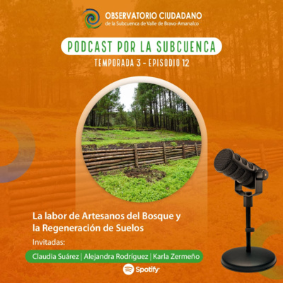 La labor de Artesanos del Bosque y la regeneración de suelos