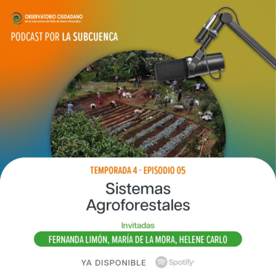 Sistemas Agroforestales