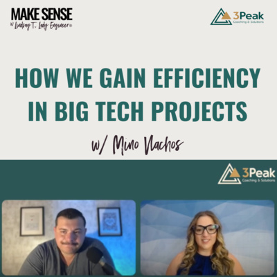 Leadership in Times of Digital Transformation | Insights with Mino Vlachos from 3Peak Coaching