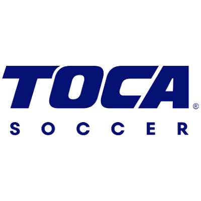 Revolutionizing Soccer Training: The TOCA Football Journey #253